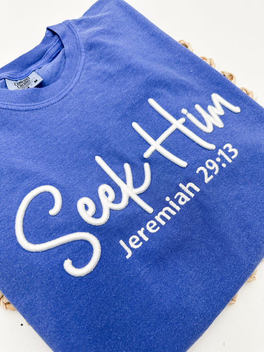 Seek Him Puff Embroidery Tee